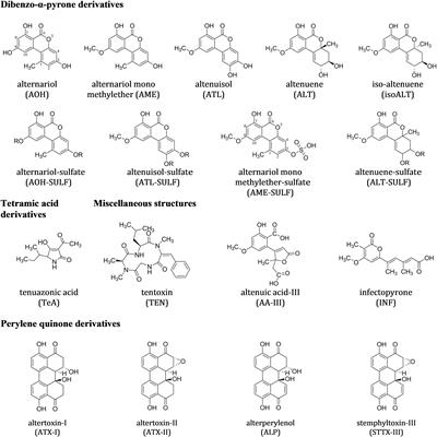Chemotaxonomy of Mycotoxigenic Small-Spored Alternaria Fungi – Do Multitoxin Mixtures Act as an Indicator for Species Differentiation?